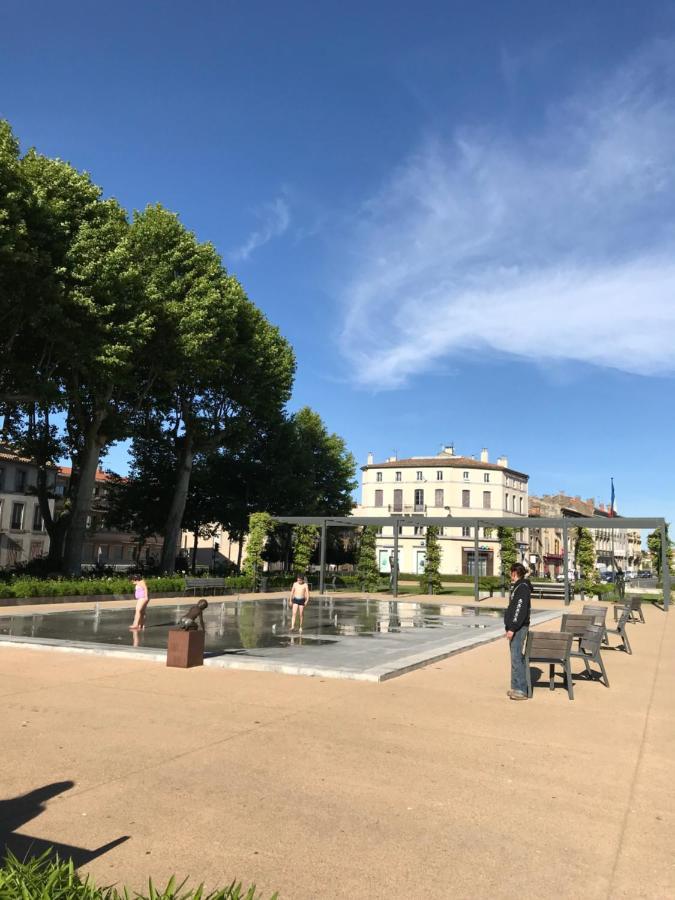 Appartement Contemporain Pont Vieux カルカソンヌ エクステリア 写真